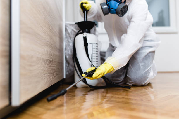Best Best Pest Control Companies  in Canyon Lake, TX