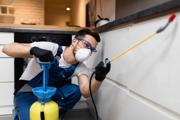 Pest Control Cost in Canyon Lake, TX