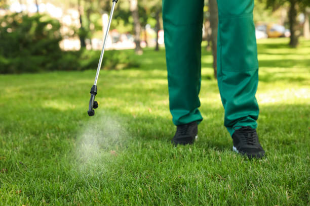 Best Mosquito Control Services  in Canyon Lake, TX