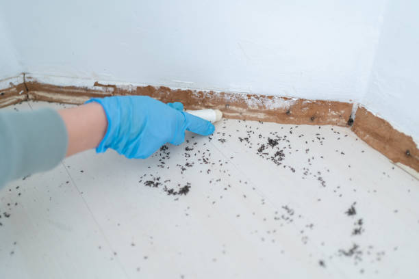  Canyon Lake, TX Pest Control Pros