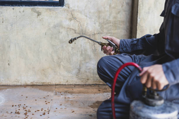 Trusted Canyon Lake, TX Pest Control Experts